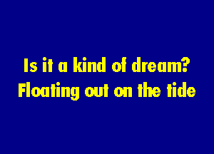 Is it a kind of dream?

Floating out on the tide