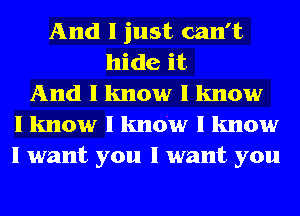 And I just can't
hide it
And I know I know
I know I know I know

I want you I want you