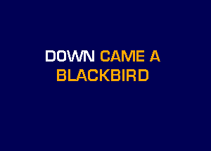 DOWN CAME A
BLACKBIRD