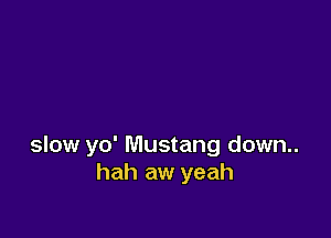 slow yo' Mustang down..
hah aw yeah