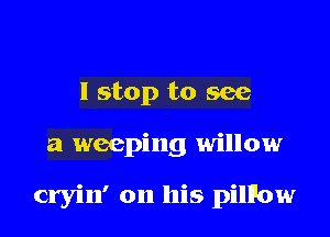 I stop to see

a weeping willow

cryin' on his pilPow