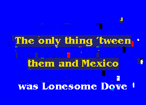 The bnly thing itween .

thtim and Mexico

a
was Lonesome Dove '
