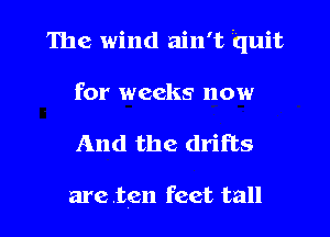 The wind ain't quit
for weeks now

And the drifts

areten feet tall