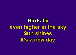 Birds fly
even higher in the sky

Sun shines
It's a new day