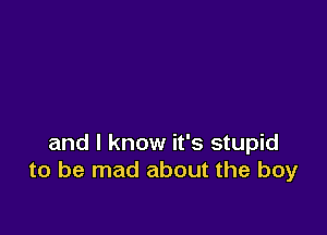 and I know it's stupid
to be mad about the boy