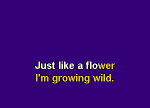 Just like a flower
I'm growing wild.