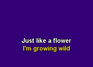 Just like a flower
I'm growing wild