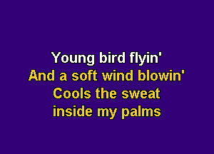 Young bird flyin'
And a soft wind blowin'

Cools the sweat
inside my palms