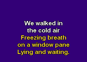 We walked in
the cold air

Freezing breath
on a window pane
Lying and waiting.