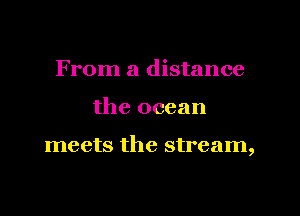 From a distance

the ocean

meets the stream,