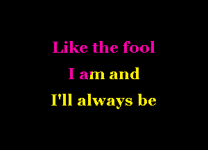 Like the fool

I am and

I'll always be