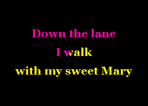 Down the lane
I walk

with my sweet NIary