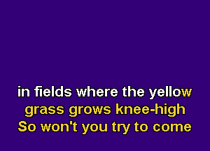 in fields where the yellow
grass grows knee-high
So won't you try to come