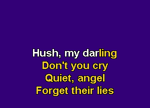 Hush, my darling

Don't you cry
Quiet, angel
Forget their lies
