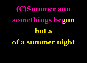 (C)Summer sun
somethings begun
buta

ofa summer night