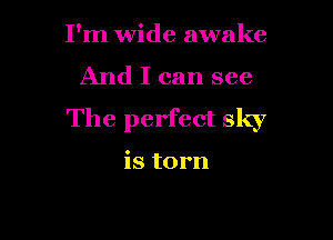 I'm wide awake
And I can see

The perfect sky

is torn