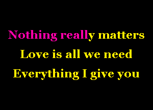 Nothing really matters
Love is all we need

Everything I give you