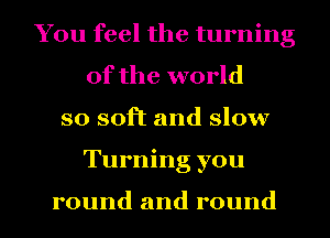 You feel the turning
of the world
so soft and slow

Turning you

round and round I