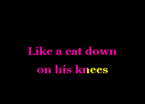 Like a cat down

on his knees
