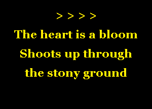 The heart is a bloom
Shoots up through
the stony ground