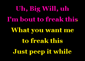 Uh, Big Will, uh
I'm bout to freak this
What you want me
to freak this

Just peep it while