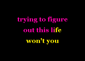 trying to figure

out this life

won't you