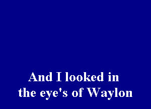 And I looked in
the eye's of W aylon