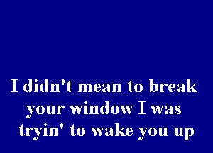 I didn't mean to break
your window I was
tryin' to wake you up