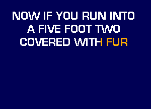 NOW IF YOU RUN INTO
A FIVE FOOT TWO
COVERED WTH FUR