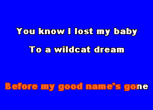 You know I lost my baby

To a wildcat dream

Before my good name's gone