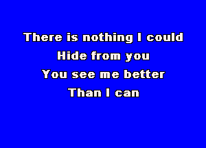 There is nothing I could

Hide from you
You see me better
Than I can