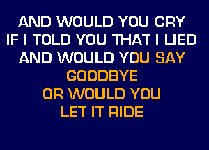 AND WOULD YOU CRY
IF I TOLD YOU THAT I LIED
AND WOULD YOU SAY
GOODBYE
0R WOULD YOU
LET IT RIDE