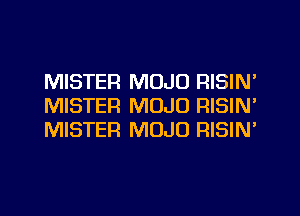 MISTER MOJO RISIN'
MISTER MOJO RISIN'
MISTER MOJO RISIN'