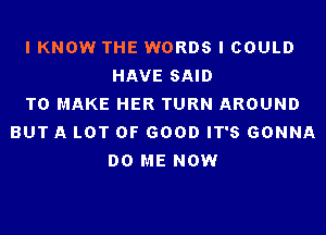 I KNOW THE WORDS I COULD
HAVE SAID
TO MAKE HER TURN AROUND
BUT A LOT OF GOOD IT'S GONNA
DO ME NOW