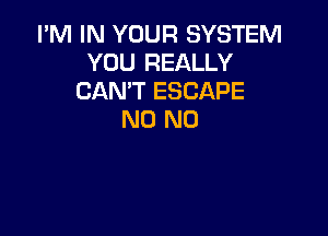 I'M IN YOUR SYSTEM
YOU REALLY
CAN'T ESCAPE

N0 N0