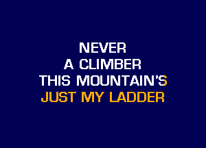 NEVER
A CLIMBER

THIS MOUNTAIN'S
JUST MY LADDER