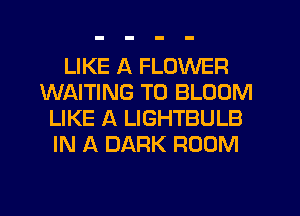 LIKE A FLOWER
WAITING T0 BLOOM
LIKE A LIGHTBULB
IN A DARK ROOM