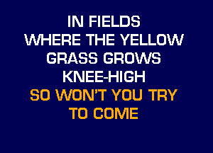 IN FIELDS
WHERE THE YELLOW
GRASS GROWS
KNEE-HIGH
SO WON'T YOU TRY
TO COME