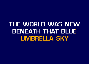 THE WORLD WAS NEW
BENEATH THAT BLUE
UMBRELLA SKY