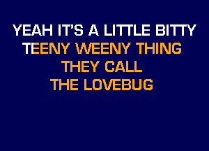 YEAH ITS A LITTLE BITI'Y
TEENY WEENY THING
THEY CALL
THE LOVEBUG
