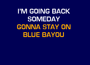 I'M GOING BACK
SOMEDAY
GONNA STAY 0N

BLUE BAYUU