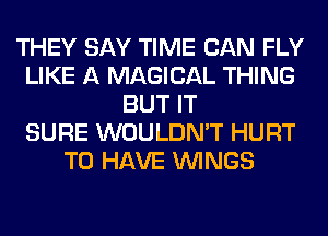 THEY SAY TIME CAN FLY
LIKE A MAGICAL THING
BUT IT
SURE WOULDN'T HURT
TO HAVE WINGS