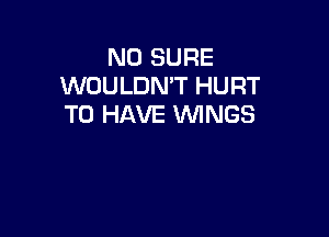 N0 SURE
WOULDN'T HURT
TO HAVE WINGS