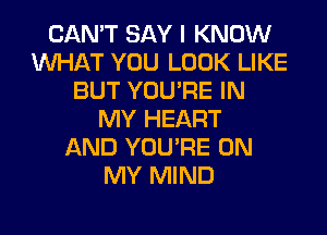 CAN'T SAY I KNOW
INHAT YOU LOOK LIKE
BUT YOU'RE IN
MY HEART
AND YOU'RE ON
MY MIND