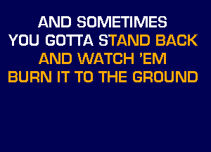 AND SOMETIMES
YOU GOTTA STAND BACK
AND WATCH 'EM
BURN IT TO THE GROUND