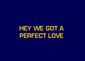 HEY WE GOT A

PERFECT LOVE