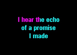 I hear the echo

of a promise
I made