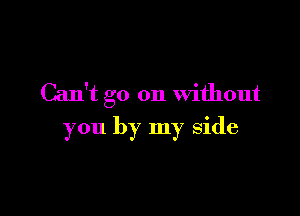 Can't go on without

you by my side