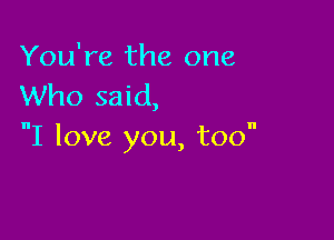 You're the one
Who said,

I love you, too