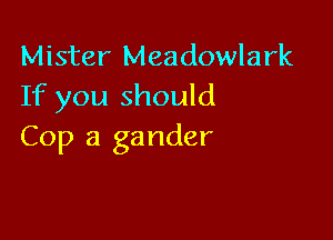 Mister Meadowlark
If you should

Cop a gander